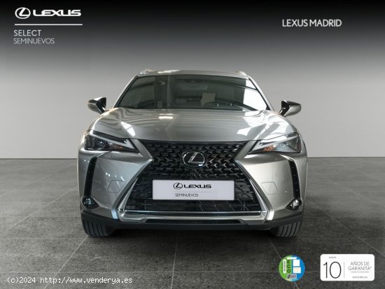 Lexus UX 2.0 250h Premium - El Plantío