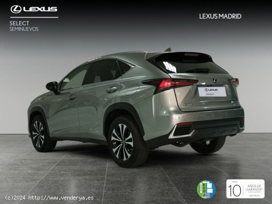 Lexus NX 2.5 300h Premium 2WD - Madrid