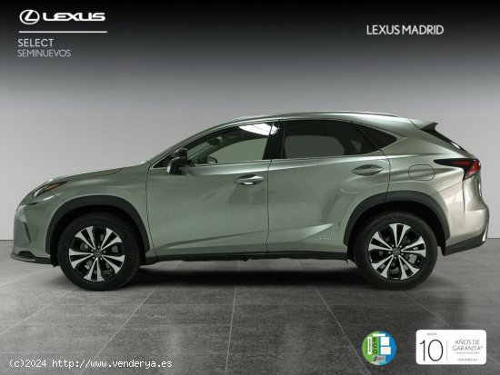 Lexus NX 2.5 300h Premium 2WD - Madrid