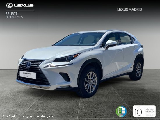  Lexus NX 2.5 300h Business Navigation 2WD - El Plantío 