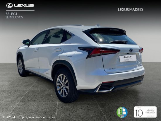 Lexus NX 2.5 300h Business Navigation 2WD - El Plantío