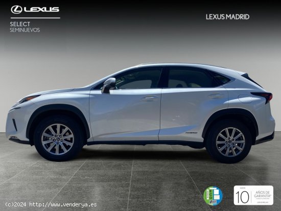 Lexus NX 2.5 300h Business Navigation 2WD - El Plantío