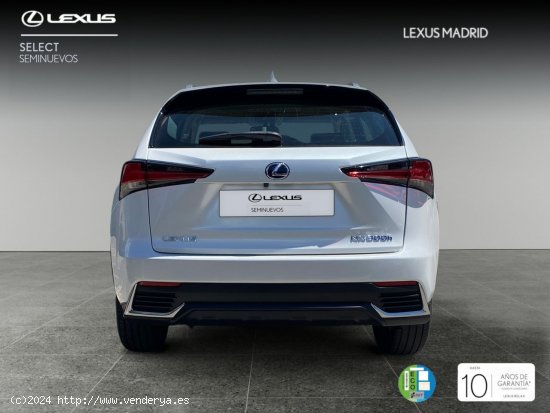 Lexus NX 2.5 300h Business Navigation 2WD - El Plantío