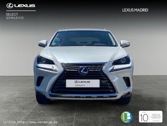 Lexus NX 2.5 300h Business Navigation 2WD - El Plantío