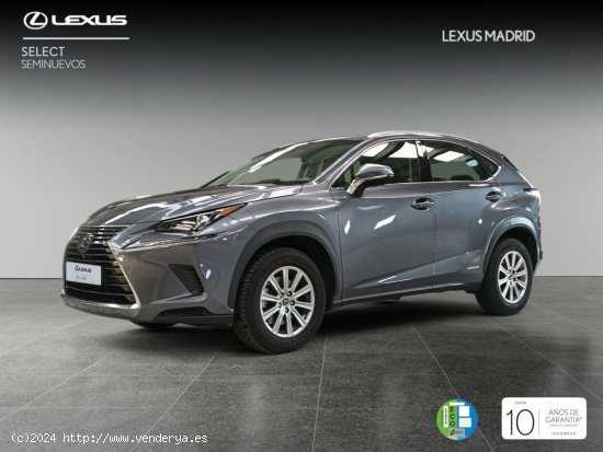  Lexus NX 2.5 300h Business 2WD - Madrid 