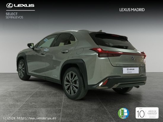 Lexus UX 2.0 250h F Sport - Madrid