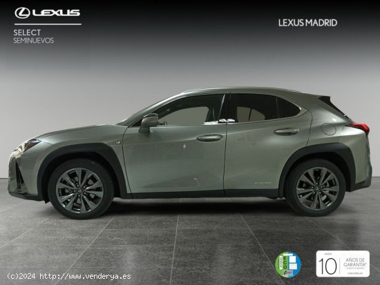 Lexus UX 2.0 250h F Sport - Madrid