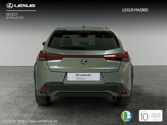 Lexus UX 2.0 250h F Sport - Madrid