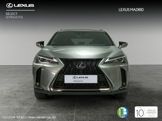 Lexus UX 2.0 250h F Sport - Madrid