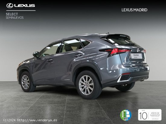 Lexus NX 2.5 300h Business Navigation 2WD - Madrid