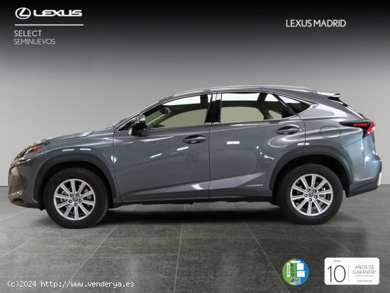 Lexus NX 2.5 300h Business Navigation 2WD - Madrid