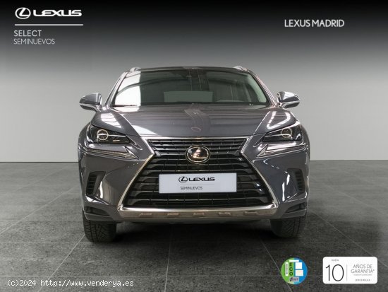 Lexus NX 2.5 300h Business Navigation 2WD - Madrid