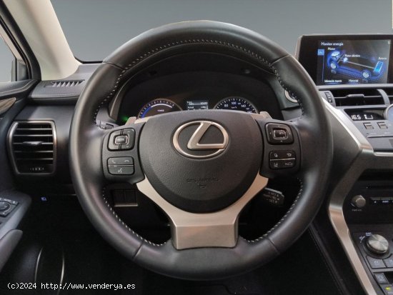 Lexus NX 2.5 300h Business Navigation 2WD - Madrid