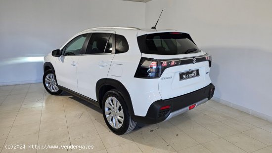 Suzuki Vitara 1.5 S2 Strong Hybrid Auto - 