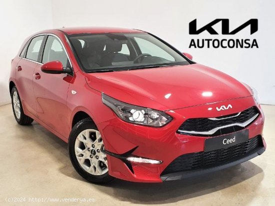  Kia Ceed 1.0 T-GDi 74kW (100CV) Drive -  