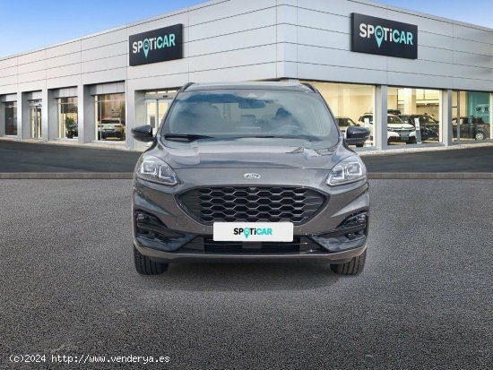 Ford Kuga ST-Line 1.5T EcoBoost 110kW (150CV) - 