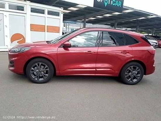 Ford Kuga 1.5 EcoBlue 88kW (120CV) ST-Line - 