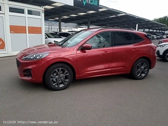 Ford Kuga 1.5 EcoBlue 88kW (120CV) ST-Line - 