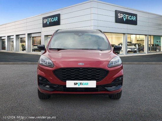 Ford Kuga ST-Line X 2.5 Duratec PHEV 165kW Auto - 