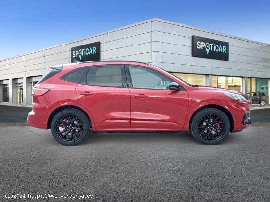 Ford Kuga ST-Line X 2.5 Duratec PHEV 165kW Auto - 