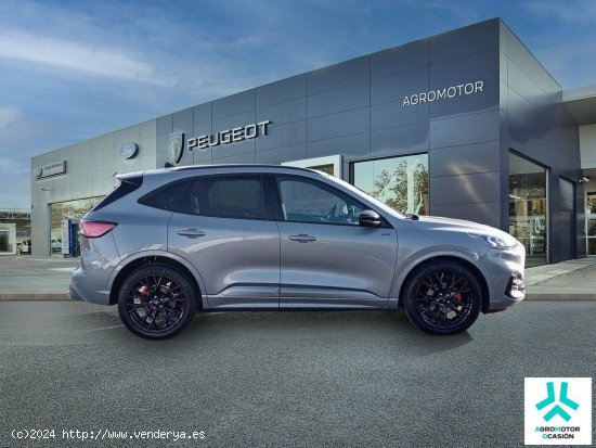 Ford Kuga ST-Line X 2.5 Duratec FHEV Auto - 