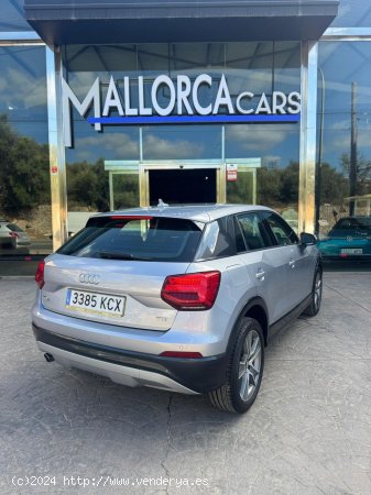 Audi Q2 1.6 TDI - Palma