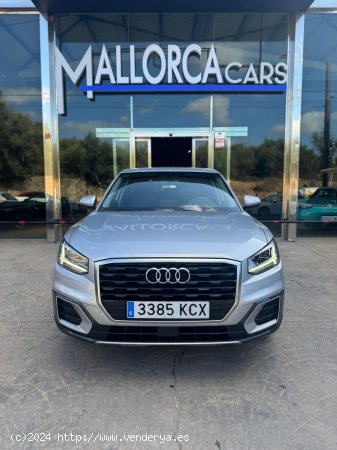 Audi Q2 1.6 TDI - Palma