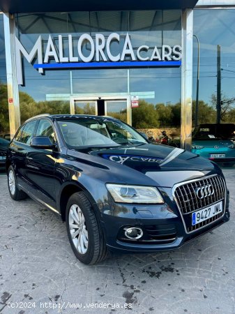 Audi Q5 2.0 TDI - Palma