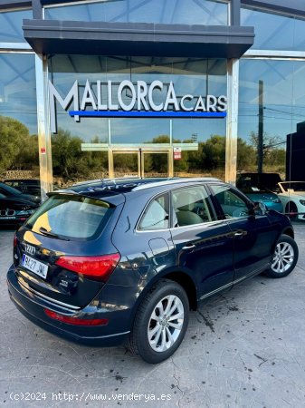 Audi Q5 2.0 TDI - Palma