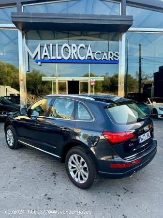 Audi Q5 2.0 TDI - Palma