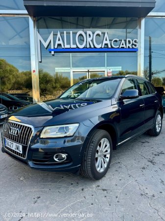 Audi Q5 2.0 TDI - Palma