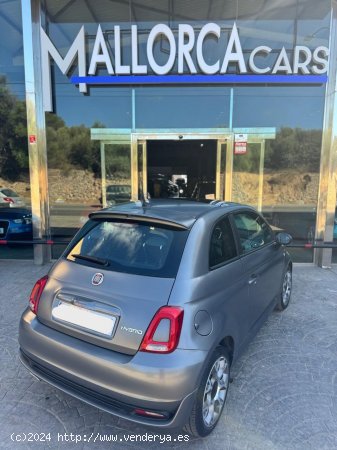 Fiat 500 hybrido - Palma