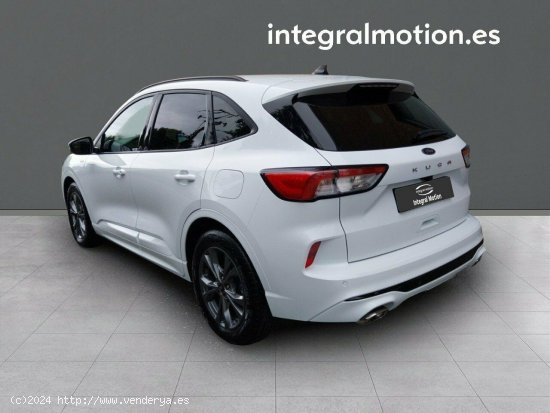 Ford Kuga ST-Line X 1.5 EcoBlue 88kW (120CV) - 