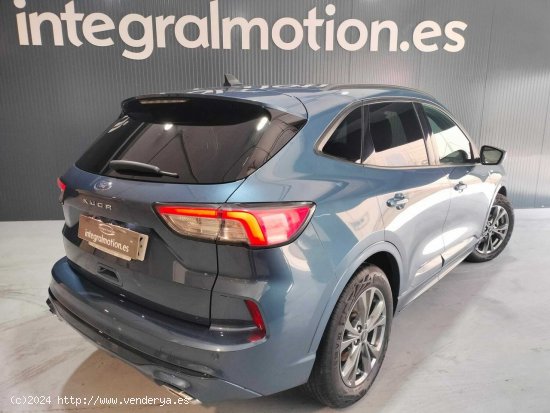 Ford Kuga ST-Line X 1.5 EcoBlue 88kW (120CV) - 