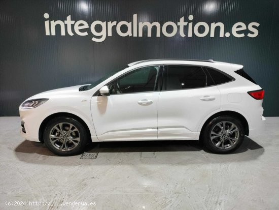 Ford Kuga ST-Line X 1.5T EcoBoost 110kW (150CV) - 