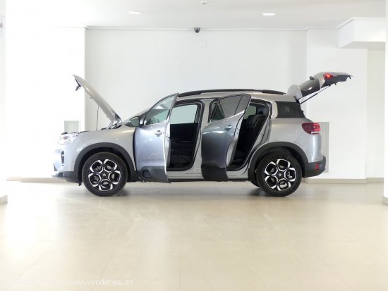 Citroën C5 Aircross BlueHdi 96kW (130CV) S&S EAT8 Plus - 