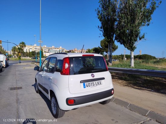 Fiat Panda III Longue - Malaga