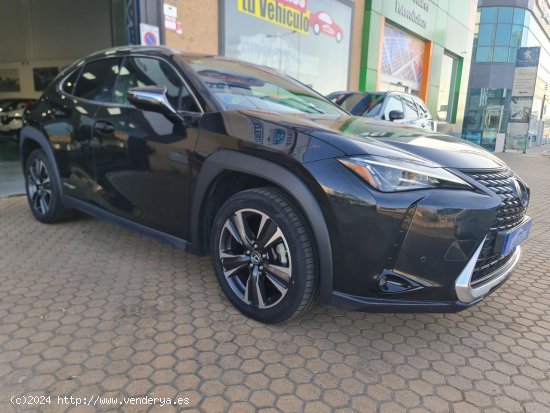 Lexus UX LEXUS UX 2.0 250h Executive Navigation 4WD LEXUS UX 2.0 250h Executive Navigation 4WD - ALA