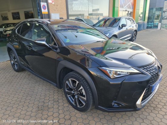 Lexus UX LEXUS UX 2.0 250h Executive Navigation 4WD LEXUS UX 2.0 250h Executive Navigation 4WD - ALA