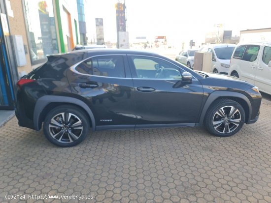 Lexus UX LEXUS UX 2.0 250h Executive Navigation 4WD LEXUS UX 2.0 250h Executive Navigation 4WD - ALA