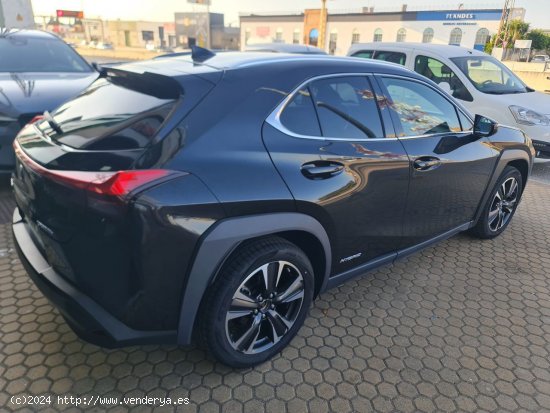 Lexus UX LEXUS UX 2.0 250h Executive Navigation 4WD LEXUS UX 2.0 250h Executive Navigation 4WD - ALA