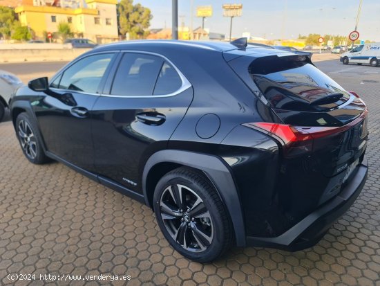 Lexus UX LEXUS UX 2.0 250h Executive Navigation 4WD LEXUS UX 2.0 250h Executive Navigation 4WD - ALA