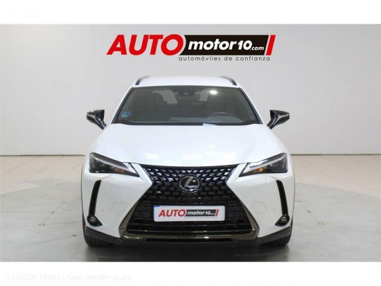 Lexus UX 2.0 250h Style - Jerez de la Frontera