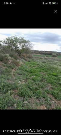 Suelo rústico en Venta en Altet Lleida