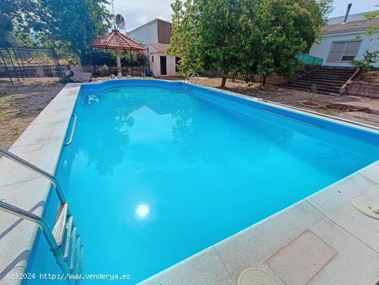 SE VENDE TERRENO CON CHALET Y PISCINA EN MANCHA REAL