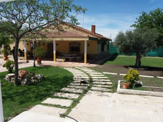 CASA CON PISCINA Y TERRENO EN C.MADRID