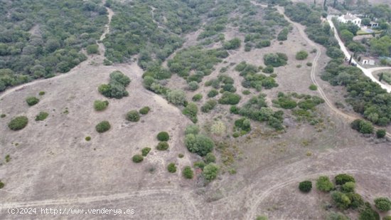 Parcela en Venta en San Martin Del Tesorillo Cádiz