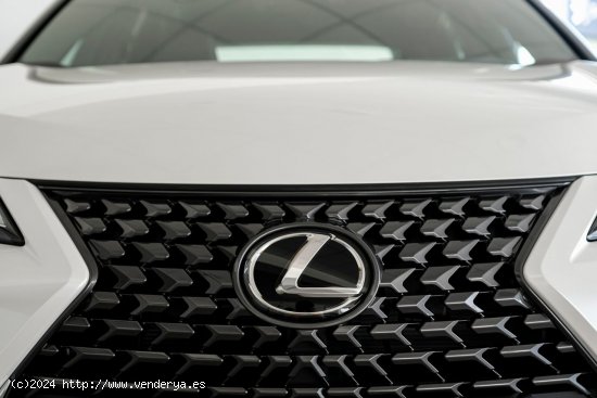 Lexus UX + 300H 4X2 - A Coruña