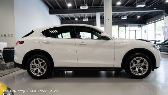 Alfa Romeo Stelvio ALFA ROMEO Stelvio 2.0 Gasolina 206kW 280CV Executive AWD 5p. - Sabadell