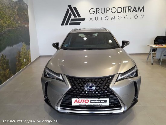 Lexus UX 2.0 250h Business - San Martiño -Faz